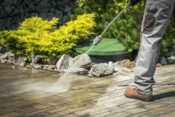Best Spring Cleaning  in Harris Hill, NY