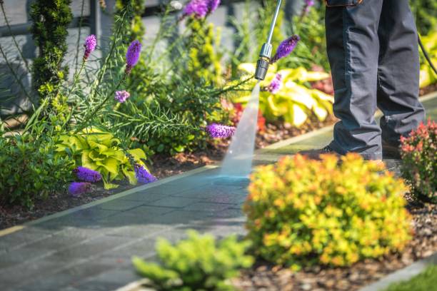 Best Gutter Cleaning  in Harris Hill, NY