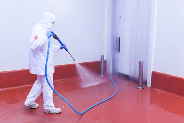 Best Gas Station Cleaning  in Harris Hill, NY