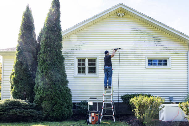 Trusted Harris Hill, NY Pressure Washing Services Experts